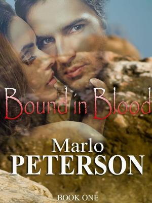Cover of the book Bound In Blood by Sarah Lynn DeCuir