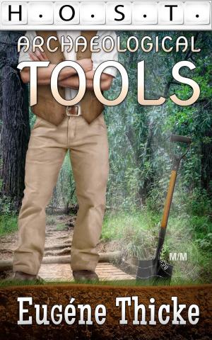 Cover of the book Archaeological Tools by Tom Nelson
