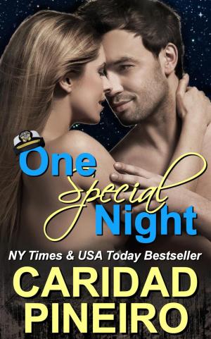 Book cover of One Special Night