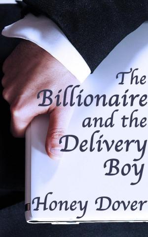 Cover of the book The Billionaire and the Delivery Boy by Lollie Pop
