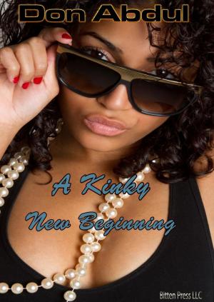 Cover of the book A Kinky New Beginning by Guy Winters
