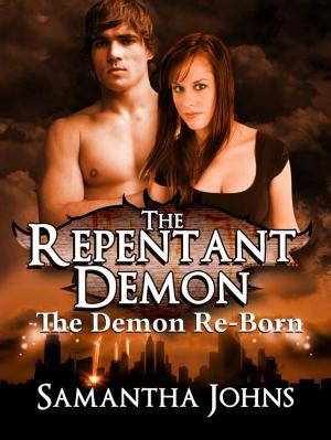 Book cover of The Repentant Demon Trilogy Book 2: The Demon Re-Born