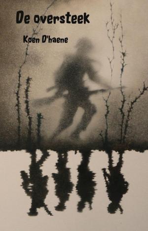Cover of the book De oversteek by Patrick Bernauw, Philip Coppens
