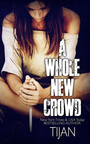Cover of the book A Whole New Crowd by Ash Gray