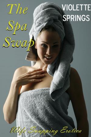 Cover of The Spa Swap (MMFF Swinging, Wife Swap Erotica)