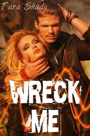 Cover of Wreck Me (Five Story Motorcycle Club Biker Erotic Romance Bundle)