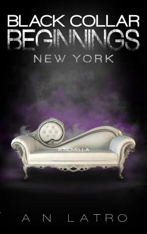 Cover of the book Black Collar Beginnings: New York by David L. Golemon