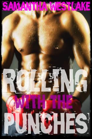 Cover of Rolling with the Punches - A Brawler Erotic Romance