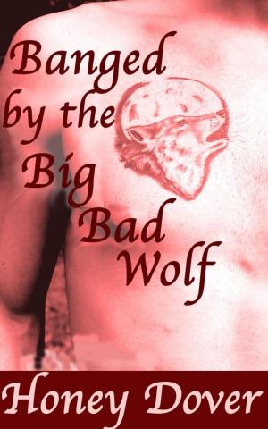 Book cover of Banged by the Big Bad Wolf