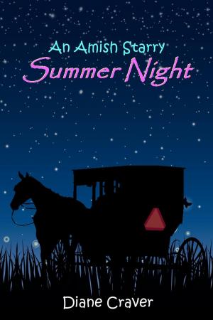 Cover of An Amish Starry Summer Night, Book 2