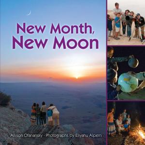 Cover of the book New Month, New Moon by J.R. Phillip, MD, PhD