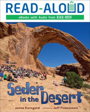 Book cover of Seder in the Desert