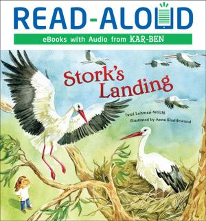 Cover of the book Stork's Landing by Jennifer Boothroyd