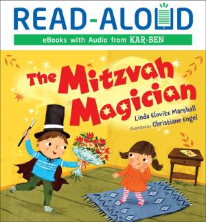 Cover of the book The Mitzvah Magician by Sandy Donovan