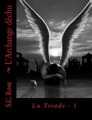 Cover of the book La Triade, tome 1: L'Archange déchu by Melissa Mayhue