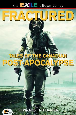 Cover of the book Fractured by James Clarke