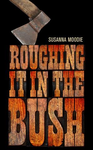 Cover of the book Roughing it in the Bush by Lorna Crozier