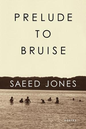 Cover of the book Prelude to Bruise by Sam Savage