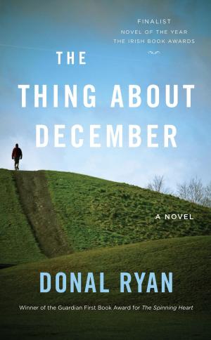 Cover of the book The Thing About December by Hans Christian Andersen
