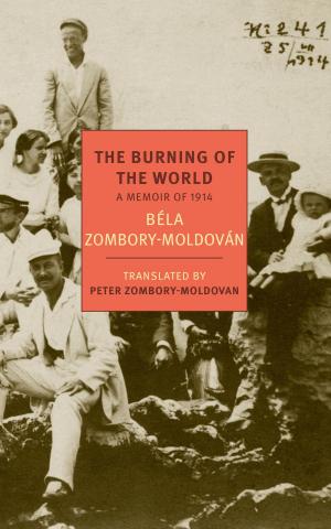 Cover of the book The Burning of the World by Patrick Leigh Fermor, Deborah Devonshire