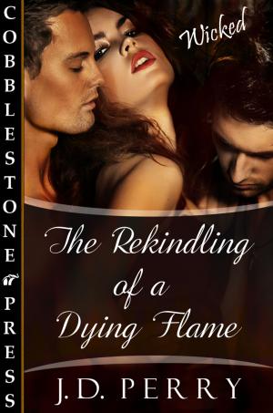 Book cover of The Rekindling of a Dying Flame