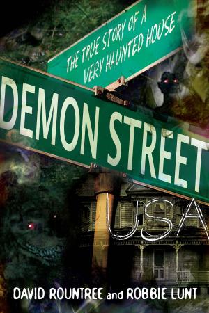 Cover of the book Demon Street, USA by Marie D. Jones, Larry Flaxman
