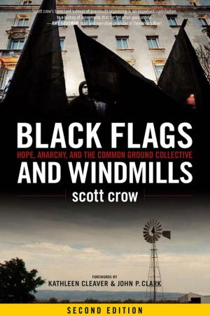 Cover of the book Black Flags and Windmills by Vincent J. Guihan