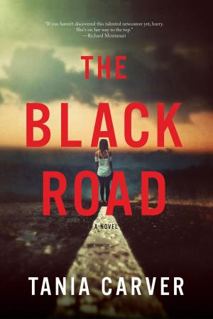 Cover of the book The Black Road: A Novel by John Gardner