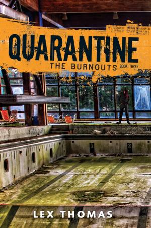 Cover of the book The Burnouts by Mark Lee