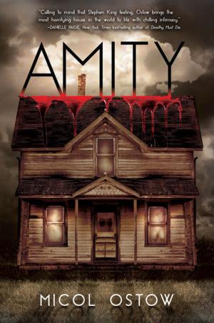 Cover of the book Amity by Laura Hamilton Waxman