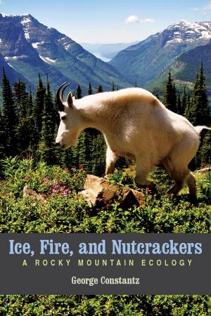 Book cover of Ice, Fire, and Nutcrackers