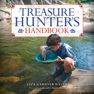 Book cover of Treasure Hunter's Handbook
