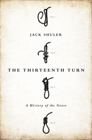 Cover of the book The Thirteenth Turn by James Yee