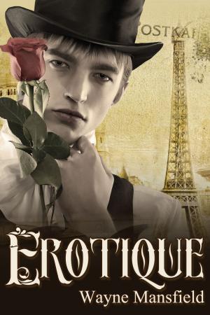 Cover of the book Erotique by David Connor, E.F. Mulder
