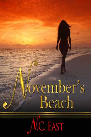 Cover of the book November's Beach by RaeLynn Blue