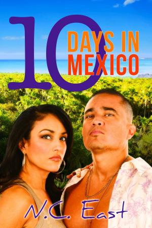 Cover of the book 10 Days in Mexico by Camryn Cutler