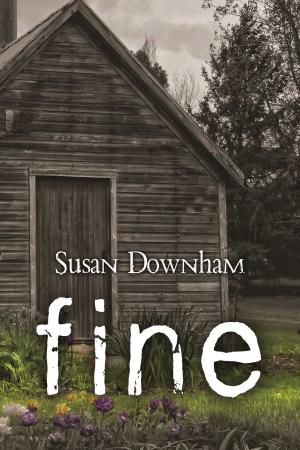 Cover of the book Fine by Amy Gallow