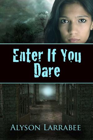 Cover of the book Enter If You Dare by Toby Joyce