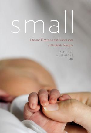 Cover of the book Small by Meredith Hoy