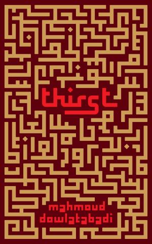 Cover of the book Thirst by Tao Lin