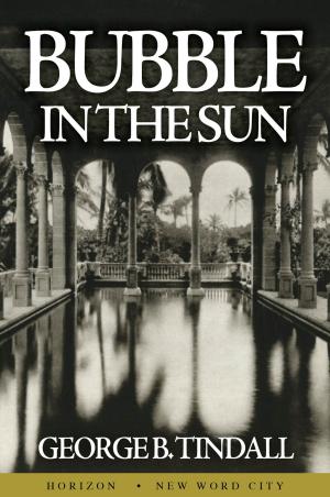 Cover of the book Bubble in the Sun by Robert Wernick