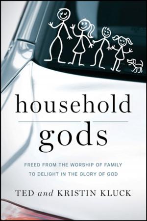 Cover of the book Household Gods by 'Bimbo Odukoya