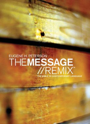 Cover of the book The Message//REMIX by Mike Treneer
