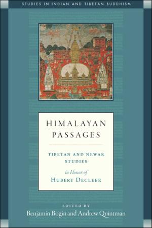 Cover of the book Himalayan Passages by Robert Rosenbaum