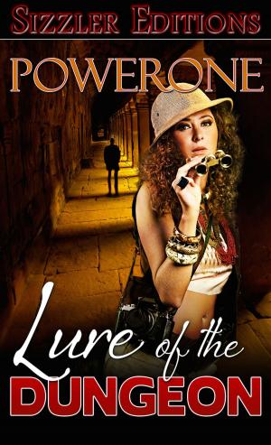 Cover of the book LURE OF THE DUNGEON by Rebecca Shea
