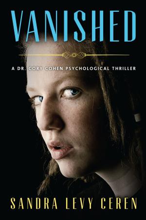 Cover of the book Vanished by Niall McLaren
