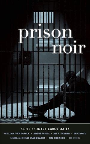 Cover of the book Prison Noir by Adam Mansbach