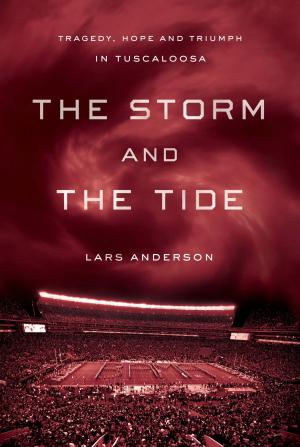 bigCover of the book The Storm and the Tide by 