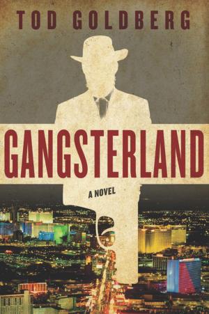 Cover of the book Gangsterland by Elizabeth Farnsworth, Mark Serr