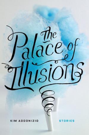 Cover of the book The Palace of Illusions by David Brin